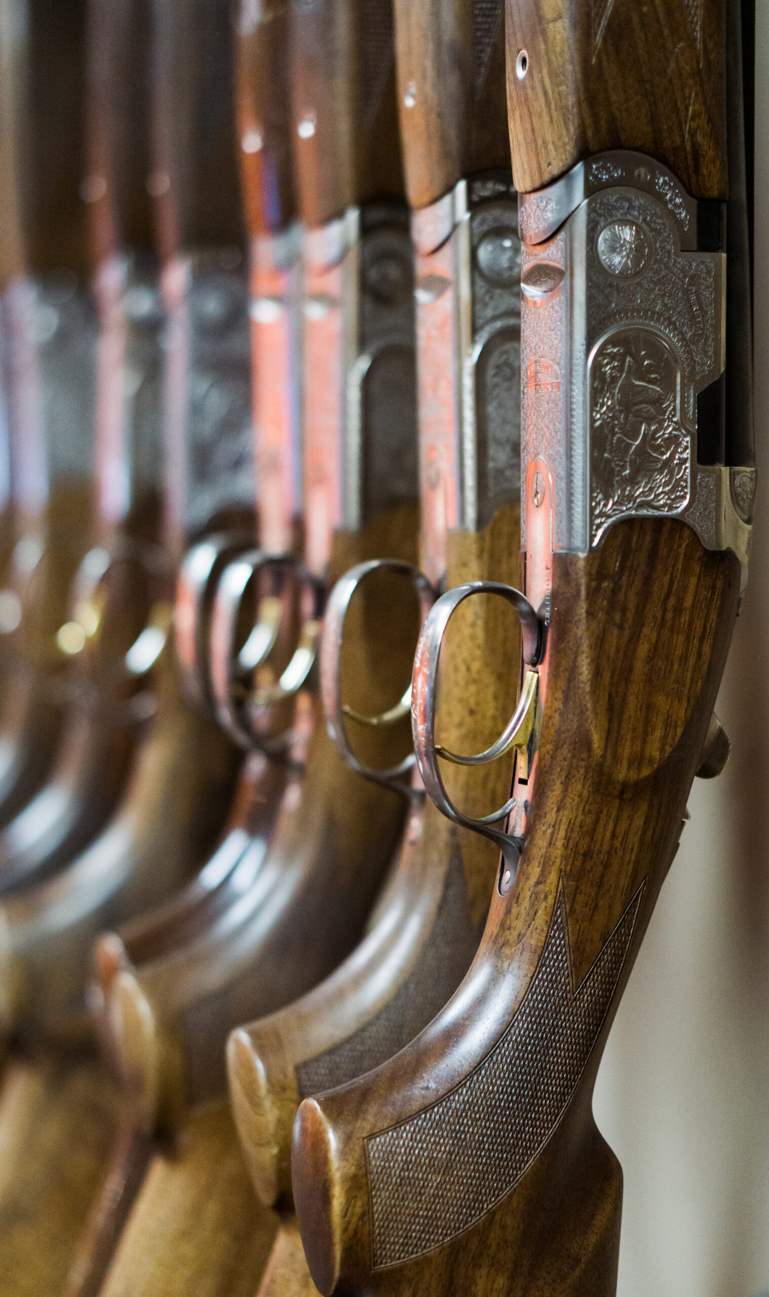 Rifles lined up